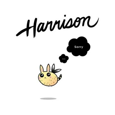 HARRISON Sorry