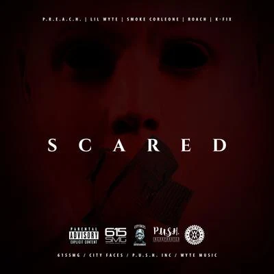 Scared 專輯 Frayser Boy/Lil Wyte