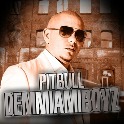 Dem Miami Boyz 專輯 Pitbull