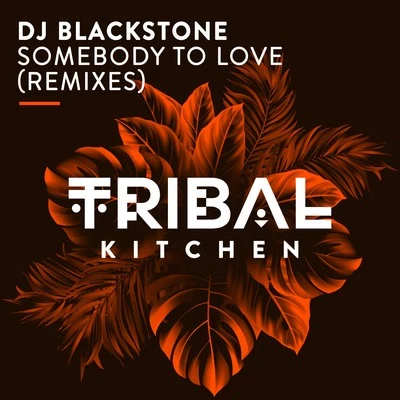 Somebody to Love (Remixes) [Radio Edits] 專輯 DJ Blackstone