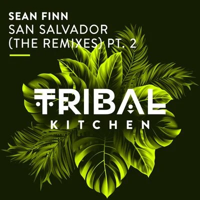 San Salvador (The Remixes) Pt. 2 專輯 Sean Finn