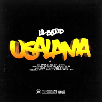 Lil Blood Usalama (ft. Boo Banga, Lil Yee, Yid, Lil Purp, Llama Llama, Lil Goofy, 3rd World DJ, Lil AJ, Joski, Young Getta, Dro Nole, 2 Thangz, J Hollow, T Mill