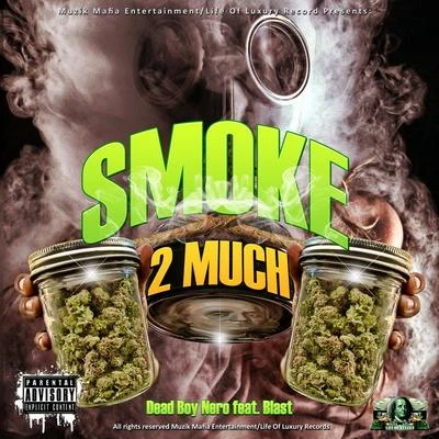 Smoke Too Much (feat. Blast) 专辑 Mangold/Dohr/DBN