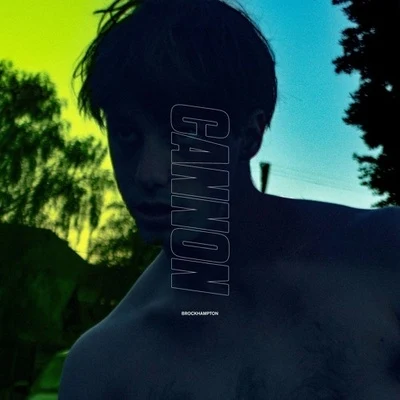 Cannon 專輯 BROCKHAMPTON