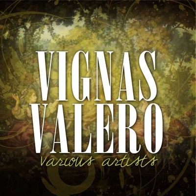 New Symphony Orchestra Vignas Valero