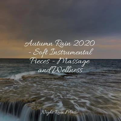 Autumn Rain 2020 - Soft Instrumental Pieces - Massage and Wellness 專輯 Nature Ambience/Pink Noise/Soothing Baby Music