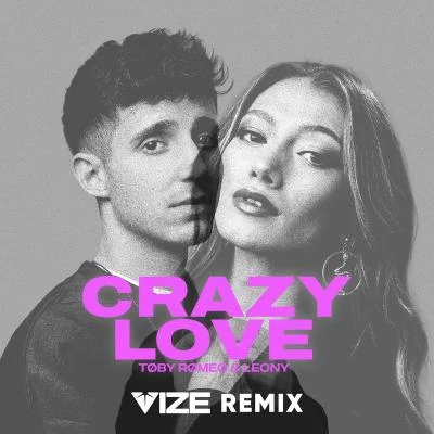 Crazy Love (VIZE Remix) 专辑 VIZE