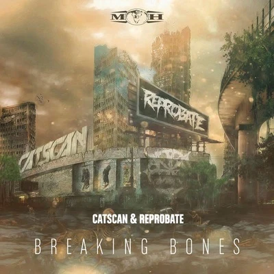 Catscan Breaking Bones