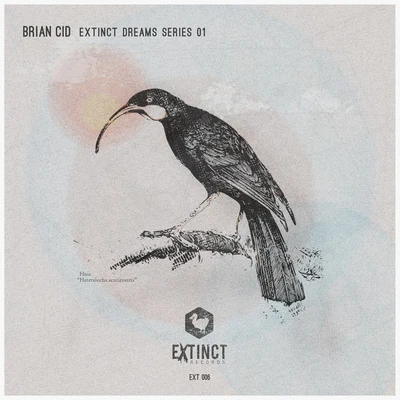 Extinct Dream Series 01 EP 专辑 Landikhan/Brian Cid/Henry Saiz