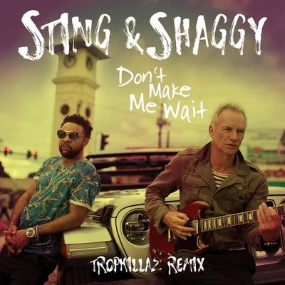 Dont Make Me Wait (Tropkillaz Remix) 專輯 Shaggy/Ricardo Ducent/Tenchi/Moss Kena/Embody