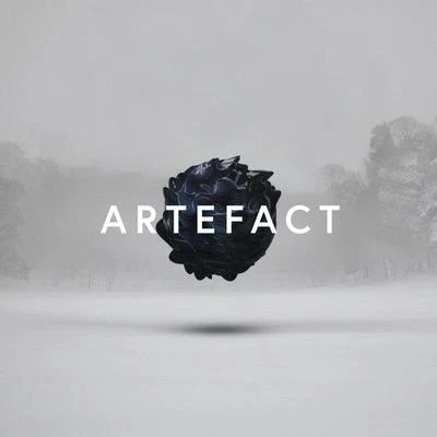 Artefact-EP 專輯 Braids/Max Cooper