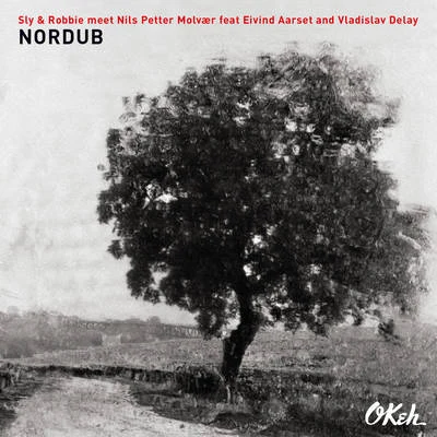 Nordub 專輯 Sly & Robbie