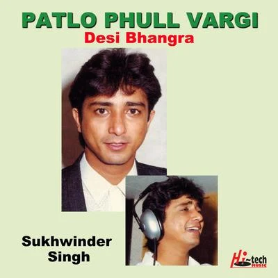 Patlo Phull Vargi 专辑 Sukhwinder Singh/JoJo/Kunal Ganjawala/Aditi Paul/Shadab Faridi