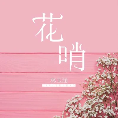 花哨 专辑 林玉涵/鱼干 (Annie)