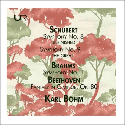 Schubert: Symphony Nos. 8 & 9 - Brahms: Symphony No. 1 (Live) 專輯 Vienna Philharmonic/Hermann Prey/Pierrette Alarie/Chorus of the Vienna State Opera/Hans Hotter