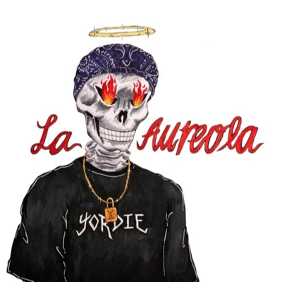 $NOTFenix FlexinDJ Scheme La Aureola