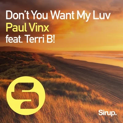 Dont You Want My Luv 專輯 Paul Vinx