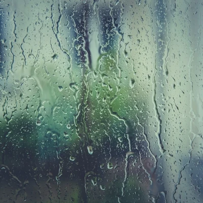 December 2019: Stress Relief Rain Sounds 專輯 The Relaxing Sounds of Swedish Nature/Asian Zen: Spa Music Meditation/Sample Rain Library