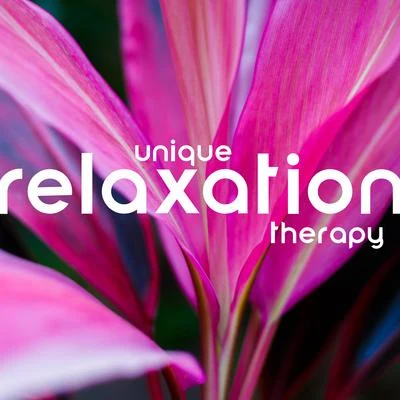 Unique Relaxation Therapy - Stunning Collection of Mother Nature Sounds That Will Allow You to Deeply Relax Your Body and Soul 專輯 New Age/Deep Rain Sampling/Rain for Deep Sleep