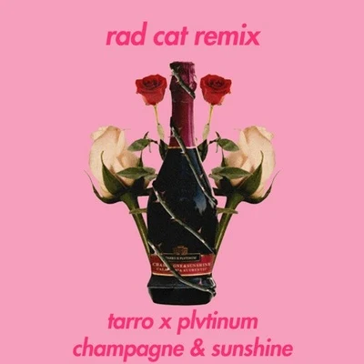 champagne sunshine (Rad Cat Remix) 专辑 Rad Cat/SpeedStr/King Salomon/Gloria Kim