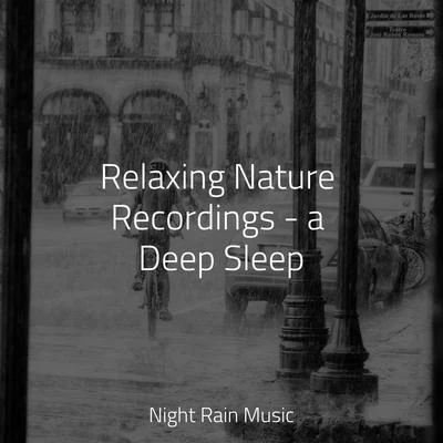 Relaxing Nature Recordings - a Deep Sleep 專輯 A Sudden Rainstorm/Weather Library/Crying & Colic Relief