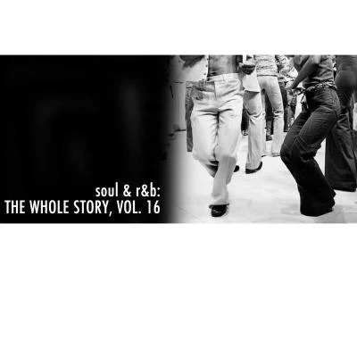 Soul & R&B: The Whole Story, Vol. 16 專輯 Lander B/Oscar Escapa/Various Artists/Optimuss/Dema