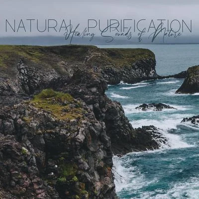 Natural Purification (Healing Sounds of Nature for Deep Body & Mind Regeneration) 專輯 Natural Healing Music Zone