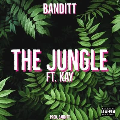 The Jungle 专辑 Kay/Arsn