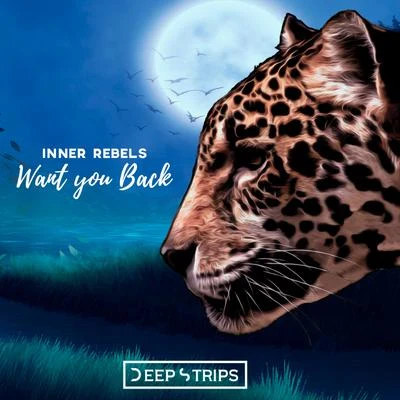 Want You Back 專輯 Inner Rebels