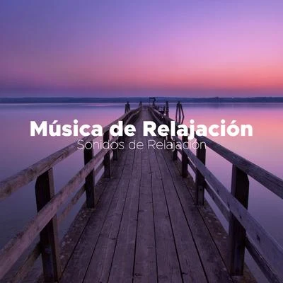 Música de Relajacion: Sonidos de Relajación 專輯 Radio Musica Clasica/Musica de Piano Escuela