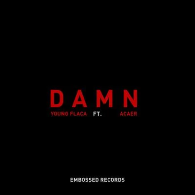 DAMN (feat. Acaer) 專輯 acaer