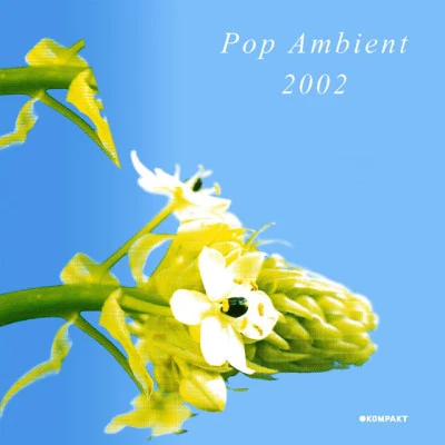 Pop Ambient 2002 专辑 Diverse