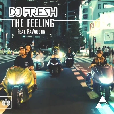 The Feeling 專輯 DJ Fresh