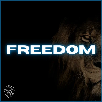 Freedom (Radio Mix) 專輯 Chesron Sminia/Adem Project/Abigail Martina/William Wixley/Montell Jordan