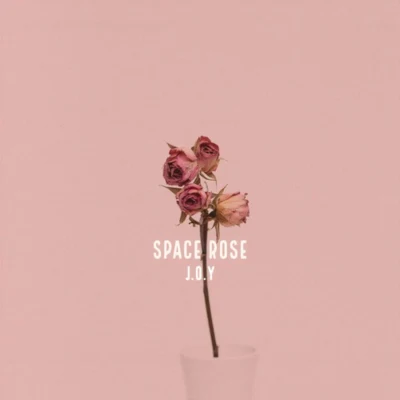 Space Rose 專輯 SuitStatic/Kerano/J.O.Y