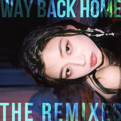 Shaun Way Back Home: The Remixes