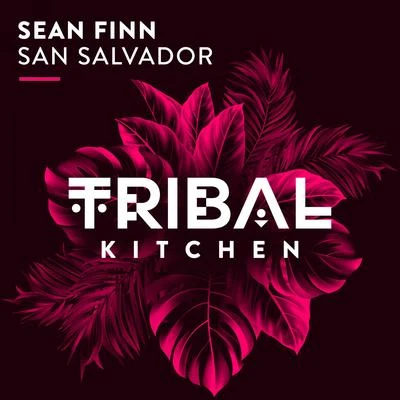 Sean Finn San Salvador