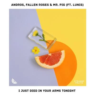 I Just Died In Your Arms Tonight (feat. Andros) 專輯 Jay Romero/Mr. Pig