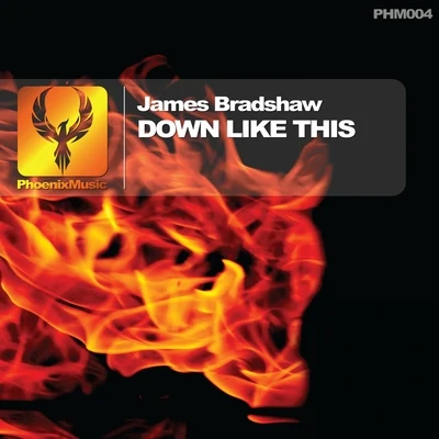 Down Like This 專輯 James Bradshaw