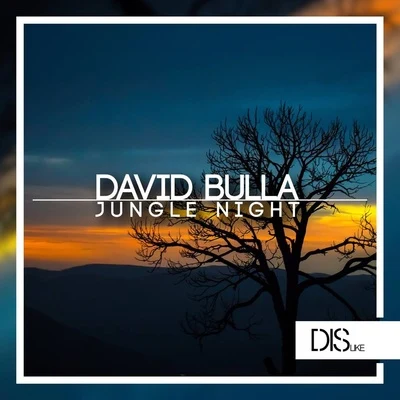 David BullaPreonLARSM Jungle Night