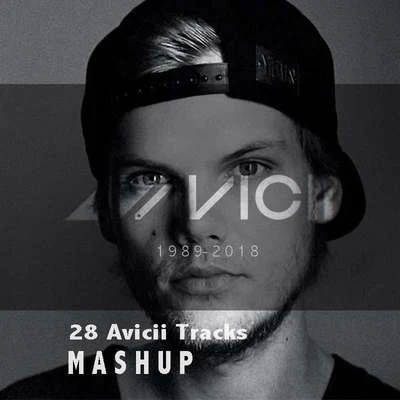 Avicii 28 mashup 專輯 Moison