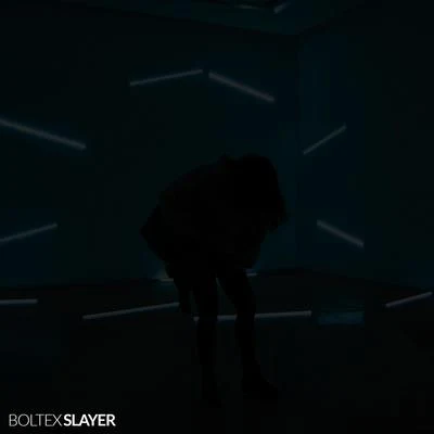 Slayer 專輯 Boltex/Synymata