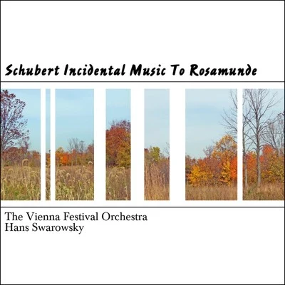 Schubert Incidental Music To Rosamunde 專輯 The Vienna Festival Orchestra