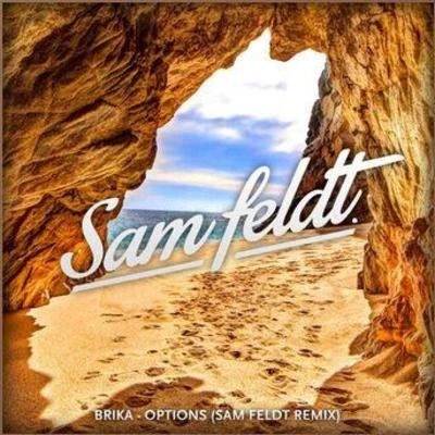 Options (Sam Feldt Remix) 專輯 Craig Smart/Sam Feldt/Fedde Le Grand