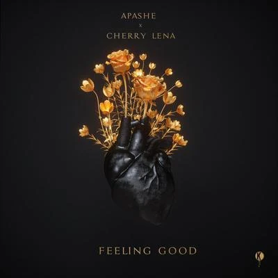 Apashe Feeling Good