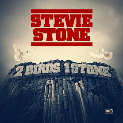 2 Birds 1 Stone 专辑 Stevie Stone