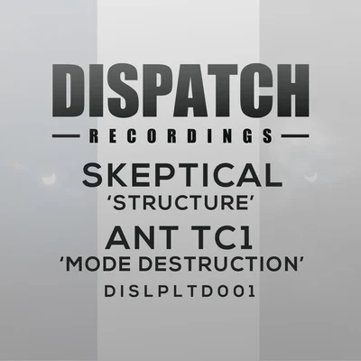 StructureMode Destruction 專輯 Skeptical