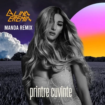 Printre Cuvinte (Manda Remix) 專輯 Rudenko/Alina Eremia/Dominique Young Unique