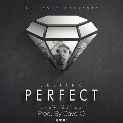 Perfect (feat. Show Banga) 專輯 Juliano/Nasty Deejays/Rio/Dj Mafia