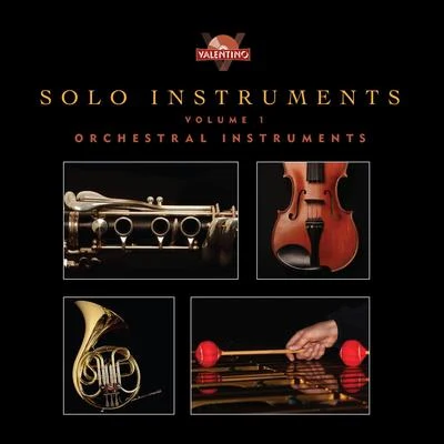 Solo Instruments, Vol. 1: Orchestral Instruments 專輯 Valentino